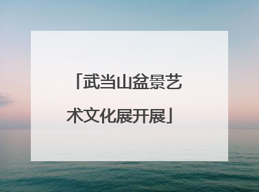 武当山盆景艺术文化展开展