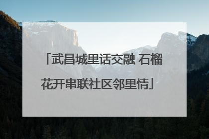 武昌城里话交融 石榴花开串联社区邻里情