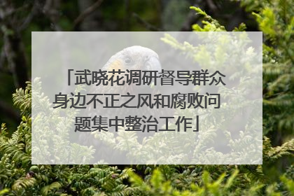 武晓花调研督导群众身边不正之风和腐败问题集中整治工作