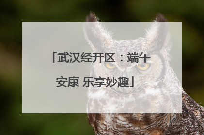 武汉经开区：端午安康 乐享妙趣