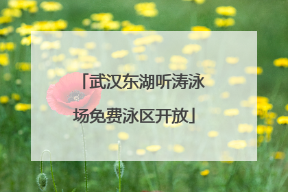武汉东湖听涛泳场免费泳区开放