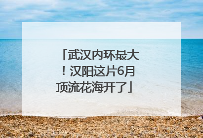 武汉内环最大！汉阳这片6月顶流花海开了