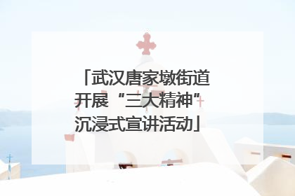 武汉唐家墩街道开展“三大精神”沉浸式宣讲活动