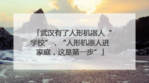 武汉有了人形机器人“学校”，“人形机器人进家庭，这是第一步”