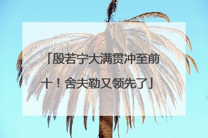 殷若宁大满贯冲至前十！舍夫勒又领先了