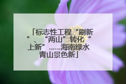 标志性工程“刷新”、“两山”转化“上新”……海南绿水青山景色新