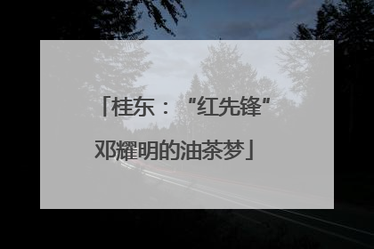 桂东：“红先锋”邓耀明的油茶梦