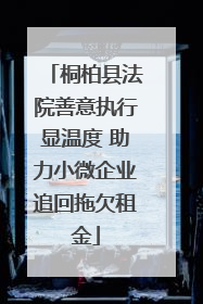 桐柏县法院善意执行显温度 助力小微企业追回拖欠租金