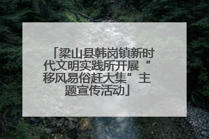 梁山县韩岗镇新时代文明实践所开展“移风易俗赶大集”主题宣传活动