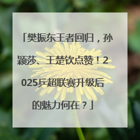 樊振东王者回归，孙颖莎、王楚钦点赞！2025乒超联赛升级后的魅力何在？