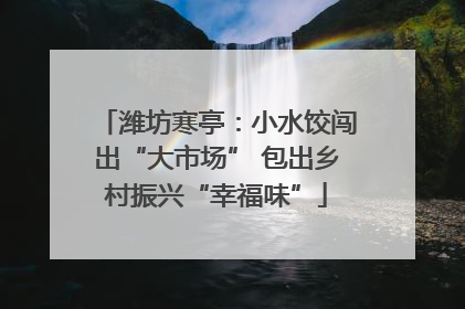 潍坊寒亭：小水饺闯出“大市场” 包出乡村振兴“幸福味”