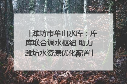 潍坊市牟山水库：库库联合调水枢纽 助力潍坊水资源优化配置
