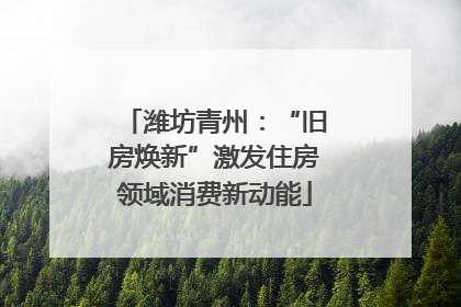 潍坊青州：“旧房焕新”激发住房领域消费新动能