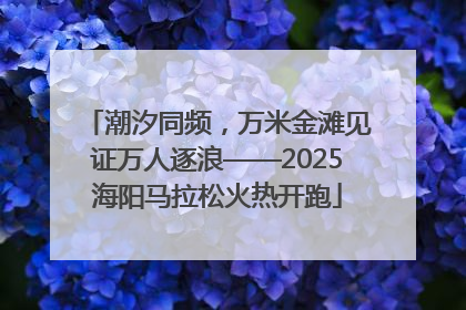 潮汐同频，万米金滩见证万人逐浪——2025海阳马拉松火热开跑