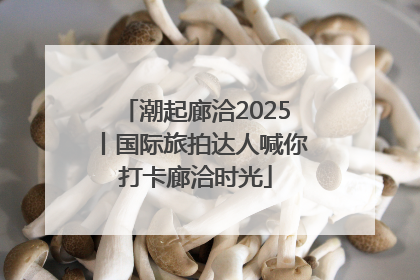 潮起廊洽2025丨国际旅拍达人喊你打卡廊洽时光