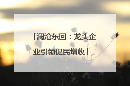 澜沧东回：龙头企业引领促民增收