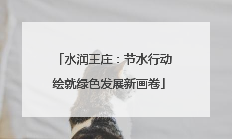 水润王庄：节水行动绘就绿色发展新画卷