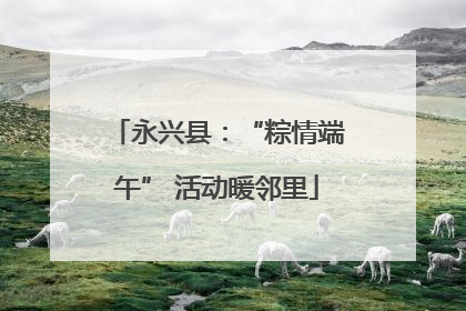 永兴县：“粽情端午” 活动暖邻里