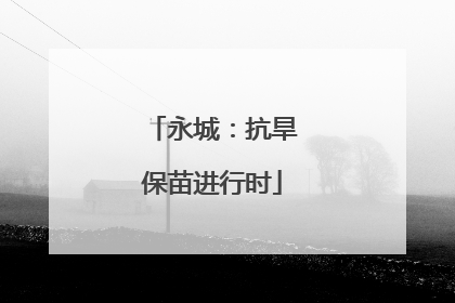 永城：抗旱保苗进行时