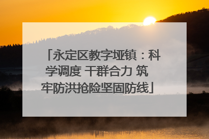 永定区教字垭镇：科学调度 干群合力 筑牢防洪抢险坚固防线