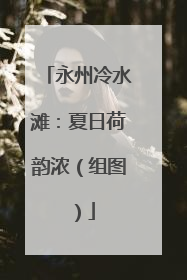 永州冷水滩：夏日荷韵浓（组图）