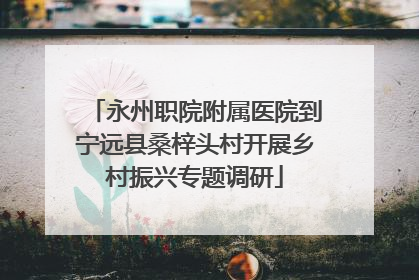 永州职院附属医院到宁远县桑梓头村开展乡村振兴专题调研