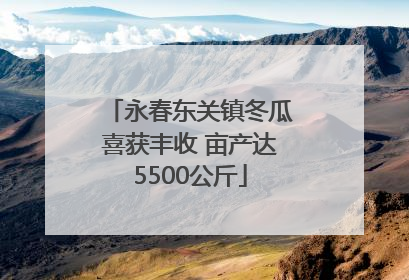 永春东关镇冬瓜喜获丰收 亩产达5500公斤
