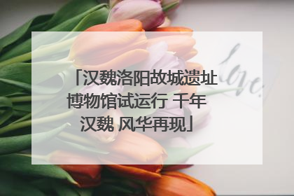 汉魏洛阳故城遗址博物馆试运行 千年汉魏 风华再现