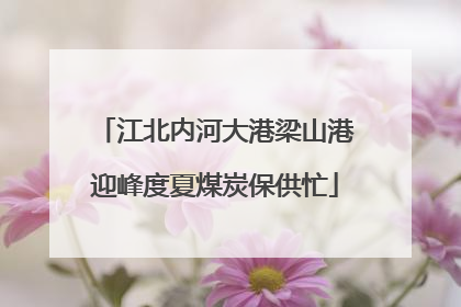 江北内河大港梁山港迎峰度夏煤炭保供忙