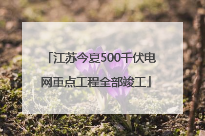 江苏今夏500千伏电网重点工程全部竣工