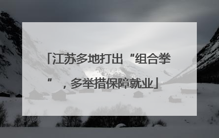 江苏多地打出“组合拳”，多举措保障就业
