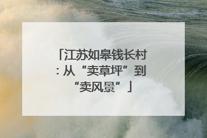江苏如皋钱长村：从“卖草坪”到“卖风景”