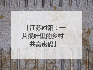 江苏射阳：一片桑叶里的乡村共富密码