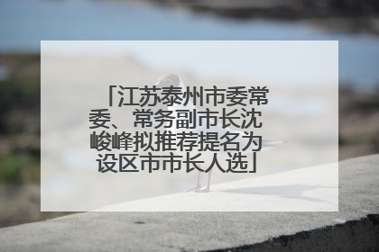 江苏泰州市委常委、常务副市长沈峻峰拟推荐提名为设区市市长人选