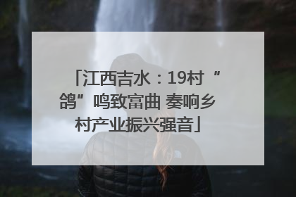 江西吉水：19村“鸽”鸣致富曲 奏响乡村产业振兴强音