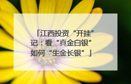 江西投资“开挂”记：看“真金白银”如何“生金长银”