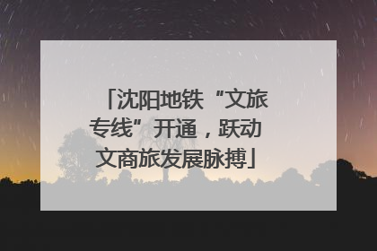 沈阳地铁“文旅专线”开通，跃动文商旅发展脉搏