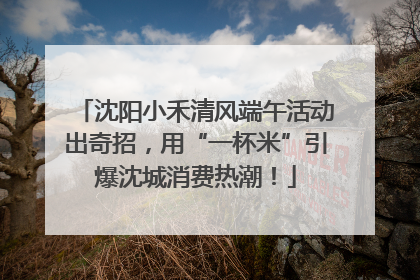 沈阳小禾清风端午活动出奇招，用“一杯米”引爆沈城消费热潮！