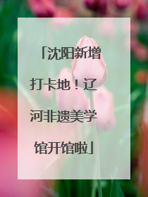 沈阳新增打卡地！辽河非遗美学馆开馆啦