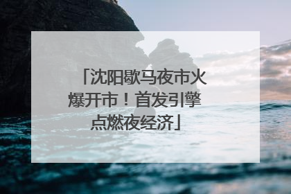 沈阳歇马夜市火爆开市！首发引擎点燃夜经济