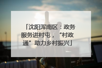 沈阳浑南区：政务服务进村屯，“村政通”助力乡村振兴