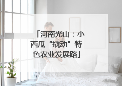 河南光山：小西瓜“撬动”特色农业发展路