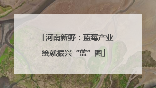 河南新野：蓝莓产业绘就振兴“蓝”图