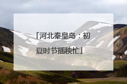 河北秦皇岛：初夏时节插秧忙