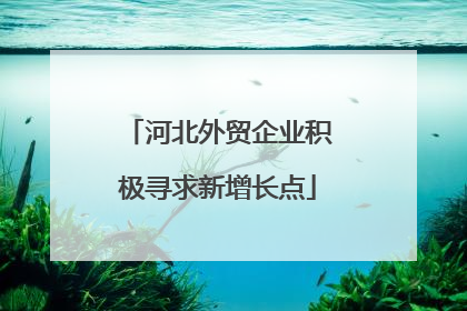 河北外贸企业积极寻求新增长点