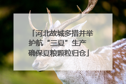 河北故城多措并举护航“三夏”生产 确保夏粮颗粒归仓