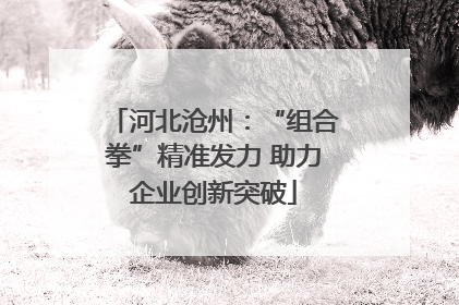 河北沧州：“组合拳”精准发力 助力企业创新突破