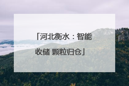 河北衡水：智能收储 颗粒归仓