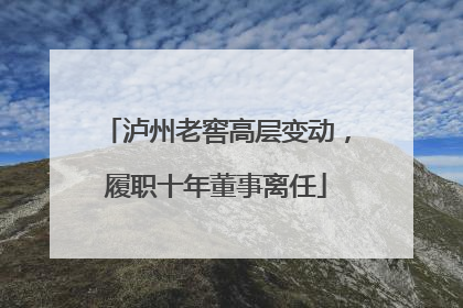 泸州老窖高层变动，履职十年董事离任