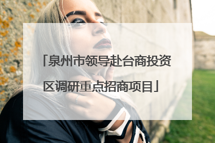 泉州市领导赴台商投资区调研重点招商项目